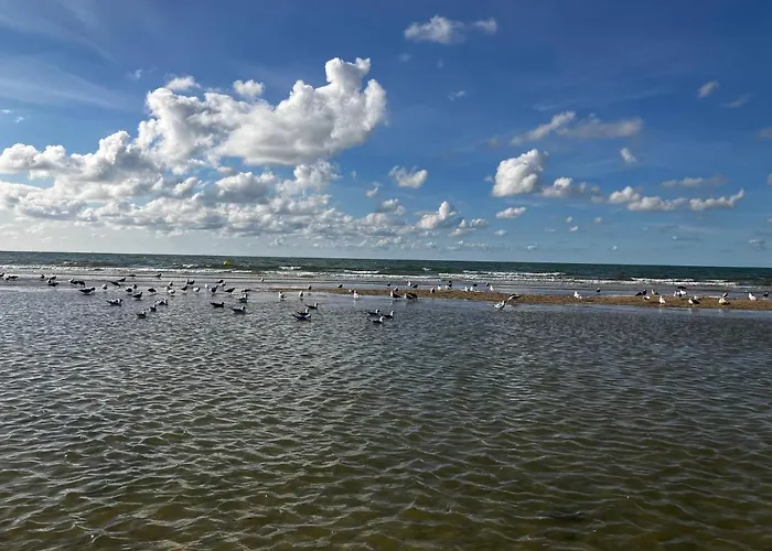 Palace Le Bonheur تروفيي سور مير