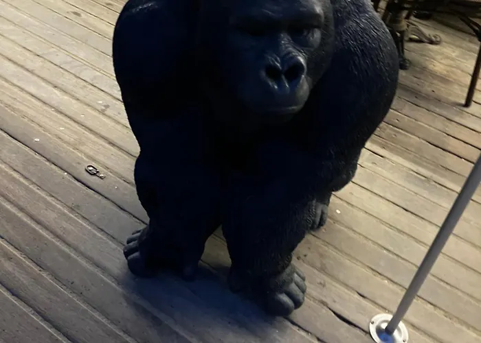 شقة Palace Le Bonheur